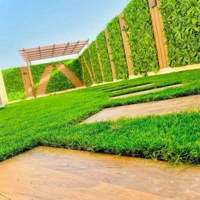 عشب بالمدينة