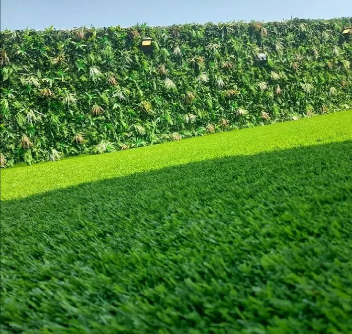 عشب بالمدينة