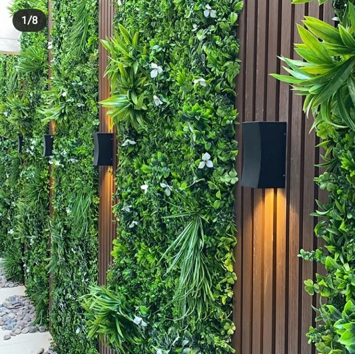 عشب جداري بالمدينة المنورة